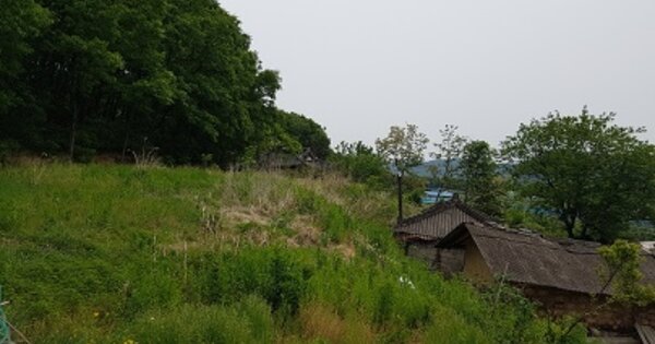 경상북도 의성군 점곡면 사촌리 OOOOO 전 경매 물건 이미지
