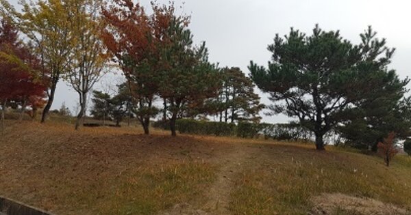 경상북도 의성군 안계면 시안리 OOO 전 경매 물건 이미지