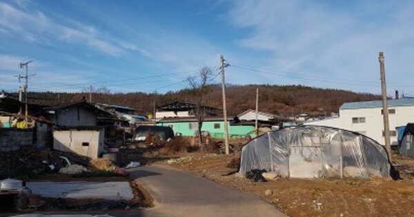 경상북도 의성군 비안면 쌍계리 OOO O OOO 답 경매 물건 이미지