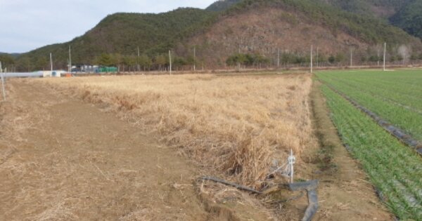 경상남도 합천군 율곡면 율진리 OOOOO 답 경매 물건 이미지