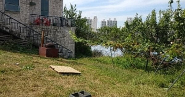 인천광역시 남동구 수산동 OOOOO 과수원 경매 물건 이미지