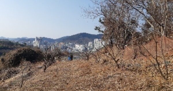 경상남도 통영시 정량동 OOOOO 전 경매 물건 이미지