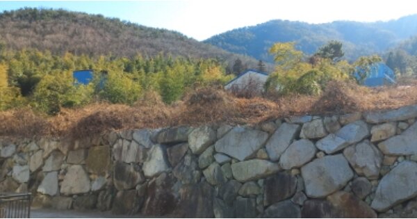 경상남도 거제시 거제면 옥산리 OOOOOOO 임야 경매 물건 이미지