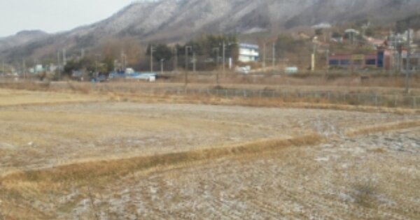 충청남도 논산시 연산면 송정리 OOOOO 답 경매 물건 이미지