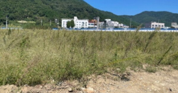 경상남도 거제시 수월동 OOO 대지 경매 물건 이미지