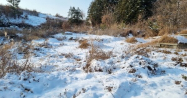 전라북도 군산시 회현면 원우리 OOOOO O OOO 전 경매 물건 이미지
