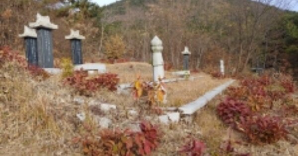 경상남도 고성군 대가면 양화리 OOOOO O OOO 임야 경매 물건 이미지
