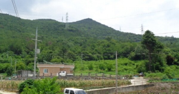 경상남도 하동군 금남면 덕천리 OOOOOO 과수원 경매 물건 이미지