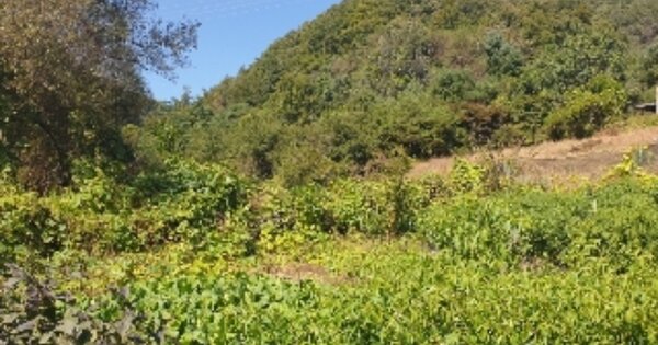 충청북도 충주시 주덕읍 사락리 OOO 답 경매 물건 이미지