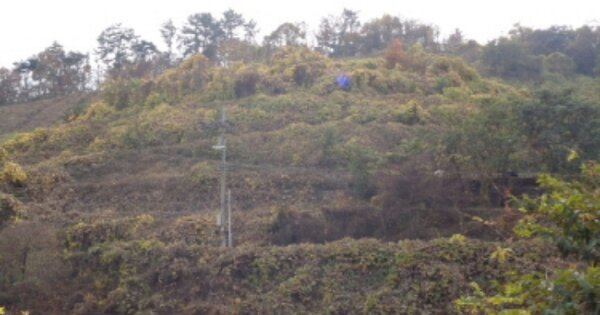경상남도 진주시 금곡면 두문리 OOOOOO 과수원 경매 물건 이미지