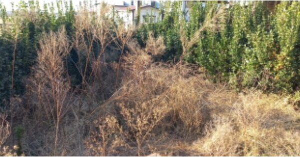 경기도 평택시 오성면 당거리 OOOOOO 단독주택 경매 물건 이미지