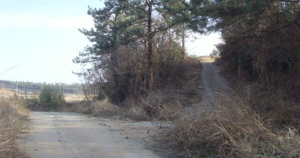 전라남도 해남군 북일면 용일리 OOOOO O OOOO 도로 경매 물건 이미지