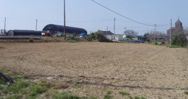 전라남도 해남군 황산면 한자리 OOOOOO 전 경매 물건 이미지