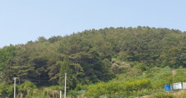 전라남도 여수시 소라면 봉두리 OOOOO 임야 경매 물건 이미지