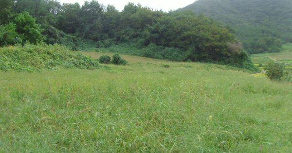 전라남도 해남군 마산면 장촌리 OOO 전 경매 물건 이미지