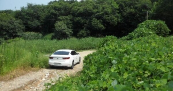 충청남도 당진시 송악읍 오곡리 OOOOOO 전 경매 물건 이미지