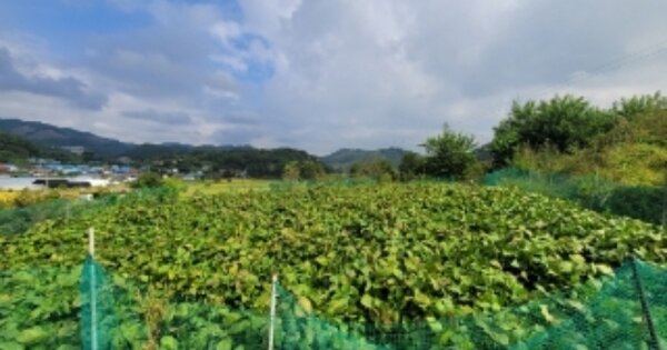 충청북도 진천군 문백면 은탄리 OOO 전 경매 물건 이미지