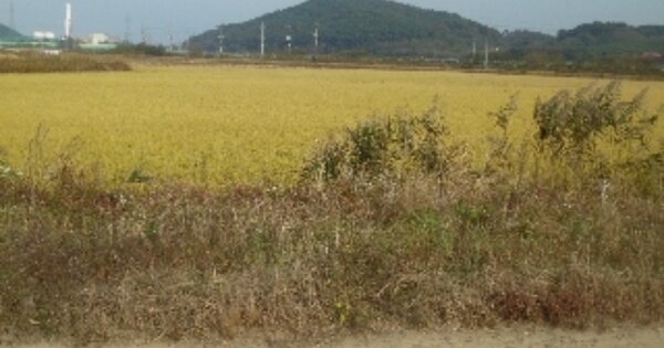 충청남도 당진시 고대면 장항리 OOOOOOOO 잡종지 경매 물건 이미지
