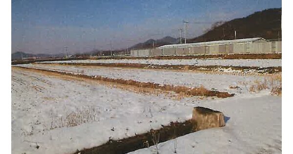 전라남도 함평군 대동면 덕산리 OOOOOO 답 경매 물건 이미지