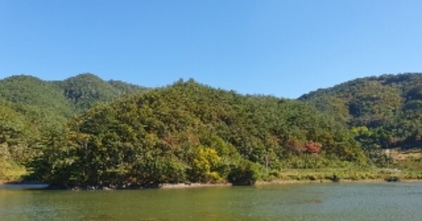 전라남도 순천시 황전면 황학리 OOO 임야 경매 물건 이미지