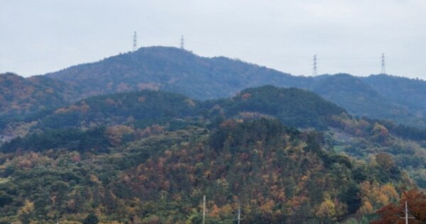 전라남도 광양시 옥룡면 용곡리 OOOOOO 임야 경매 물건 이미지