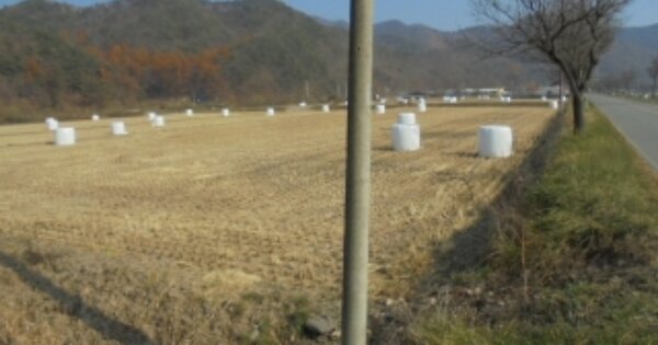 충청북도 보은군 산외면 원평리 OOO 답 경매 물건 이미지