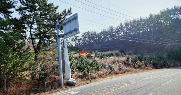 충청남도 태안군 원북면 신두리 OOOOOOO 임야 경매 물건 이미지