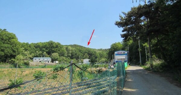 경기도 화성시 팔탄면 구장리 OOOO 임야 경매 물건 이미지