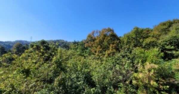 충청북도 청주시 청원구 오창읍 양청리 OOOO 임야 경매 물건 이미지
