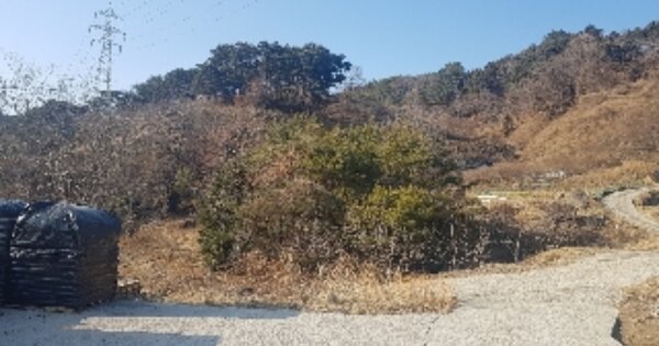 전라남도 순천시 상사면 용계리 OOOOOO O OOO 임야 경매 물건 이미지