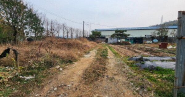 경기도 시흥시 계수동 OOOOO 답 경매 물건 이미지