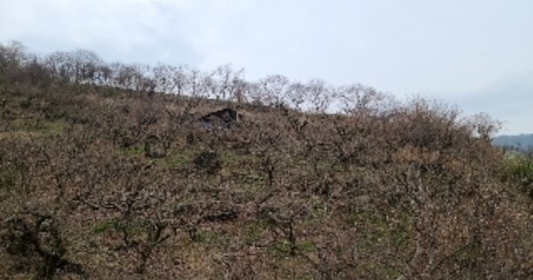전라남도 곡성군 죽곡면 하한리 OOO 전 경매 물건 이미지