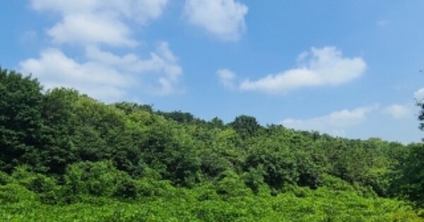 전라남도 나주시 세지면 교산리 OOO 답 경매 물건 이미지