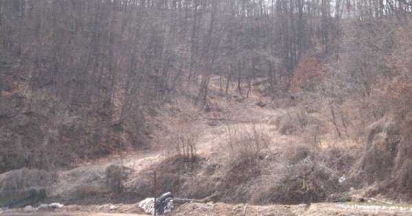 경상북도 예천군 감천면 마촌리 OOOOO 전 경매 물건 이미지