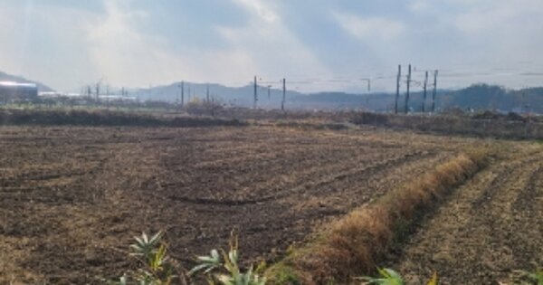 전라남도 장성군 북이면 원덕리 OOOO 과수원 경매 물건 이미지