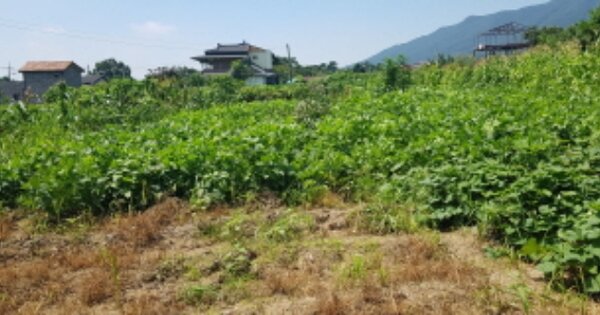 경기도 포천시 어룡동 OOOOO 전 경매 물건 이미지