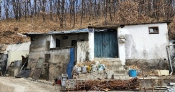 경상북도 안동시 용상동 OO 임야 경매 물건 이미지