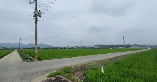경상남도 함안군 법수면 윤외리 OOOOO 답 경매 물건 이미지