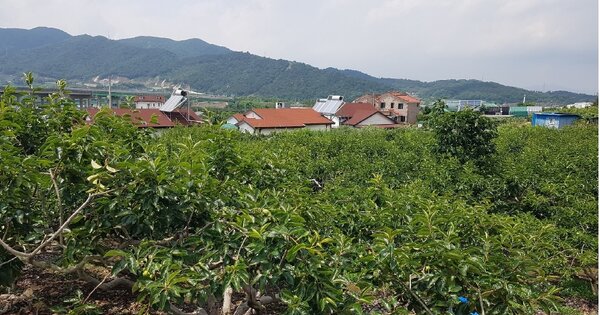 경상남도 창원시 의창구 동읍 덕산리 OOO O OOO 답 경매 물건 이미지