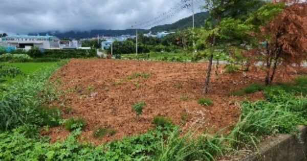 울산광역시 울주군 웅촌면 고연리 OOOOOO 답 경매 물건 이미지