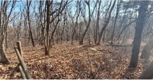 경기도 군포시 산본동 OOOOOO 임야 경매 물건 이미지