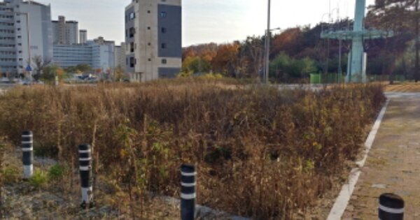 대구광역시 동구 숙천동 OOO 대지 경매 물건 이미지
