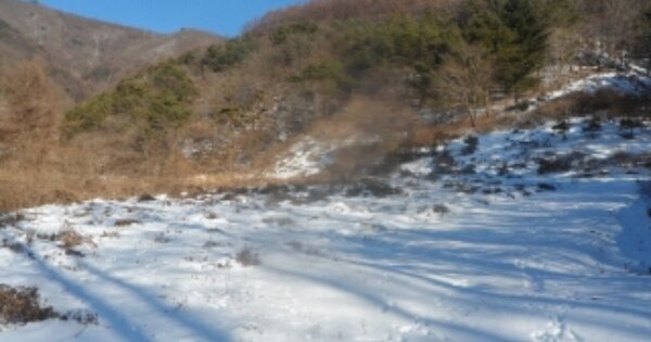 강원도 영월군 북면 공기리 OOOO 전 경매 물건 이미지