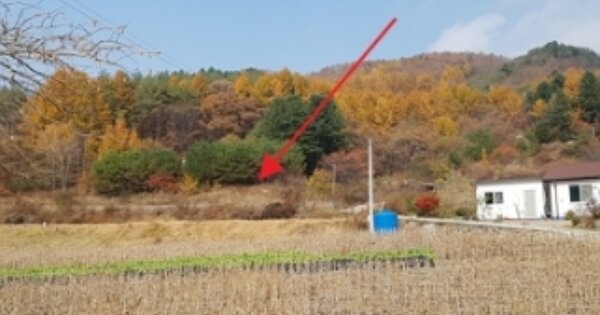 강원도 원주시 신림면 황둔리 OOOO 전 경매 물건 이미지