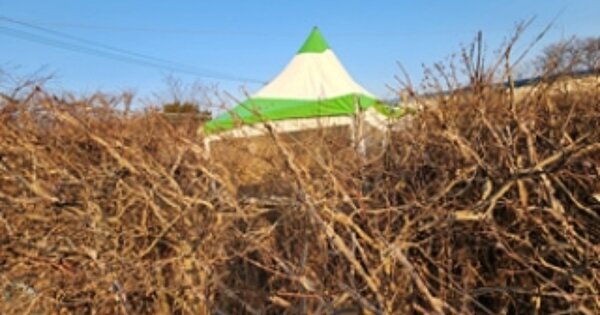 충청남도 보령시 대천동 OOOOO 답 경매 물건 이미지