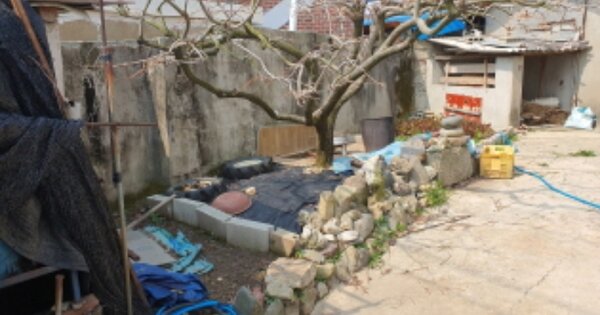 전라남도 장흥군 부산면 금자리 OOOOO 대지 경매 물건 이미지