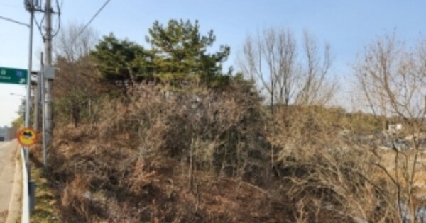전라북도 고창군 고창읍 성두리 OOOOO 임야 경매 물건 이미지