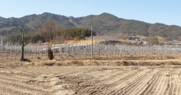 경상남도 거창군 웅양면 신촌리 OO O OOOO 창고시설 경매 물건 이미지
