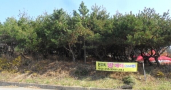 전라북도 부안군 변산면 격포리 OOOOO O OOO 전 경매 물건 이미지
