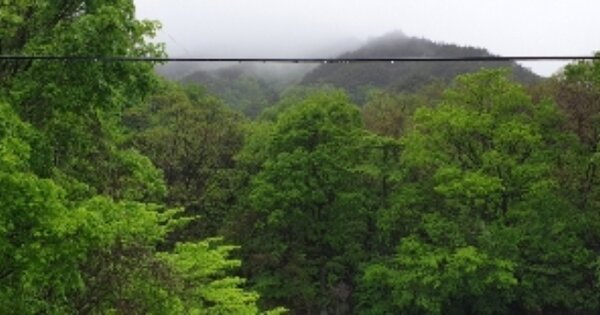 전라북도 남원시 산내면 덕동리 OOO 임야 경매 물건 이미지